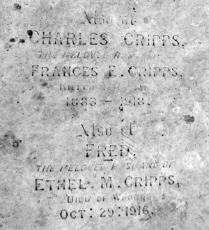 Gravestone of Charles and Fred Cripps
